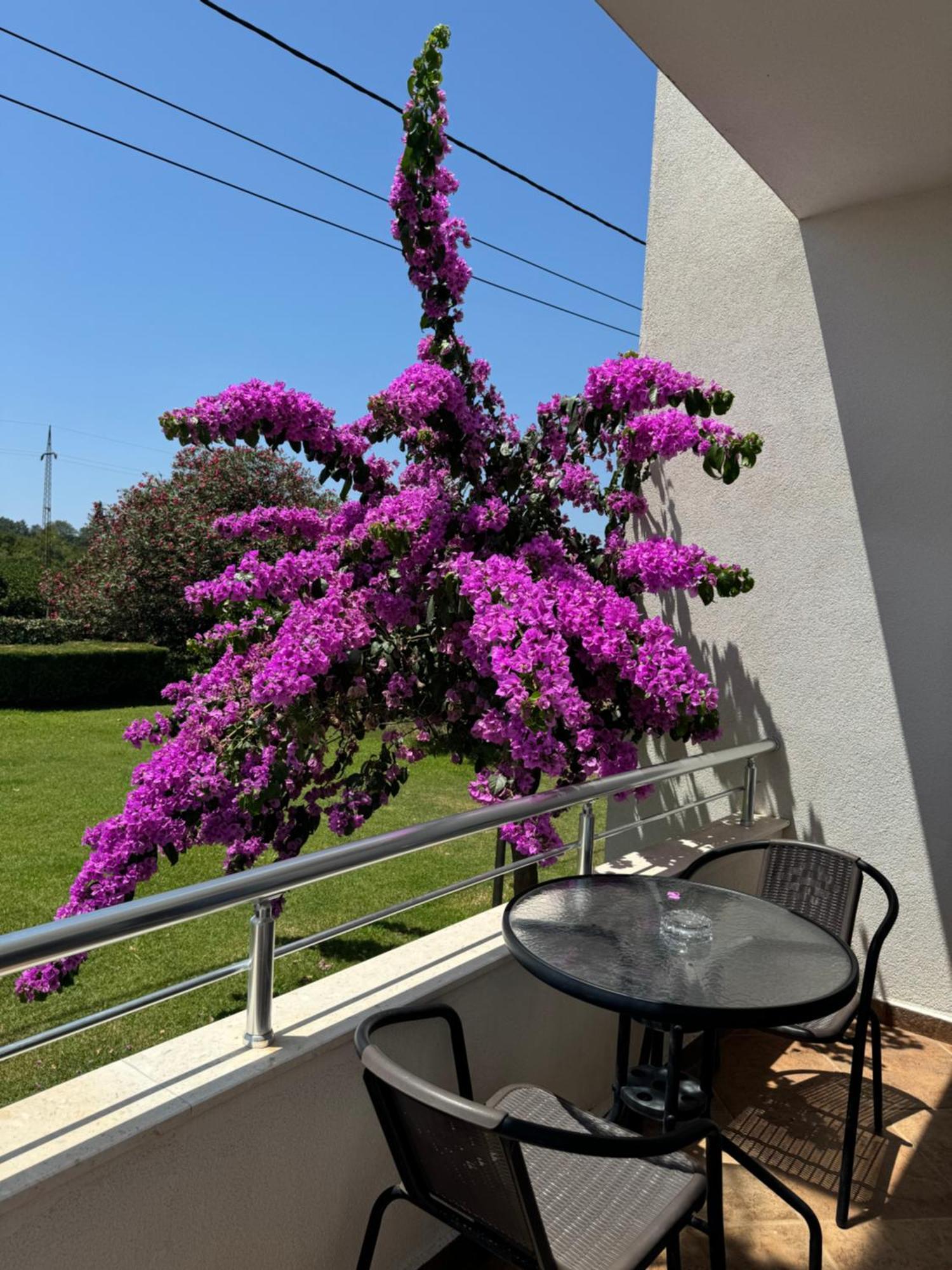 Sunrise House Apartments Ulcinj Exterior photo